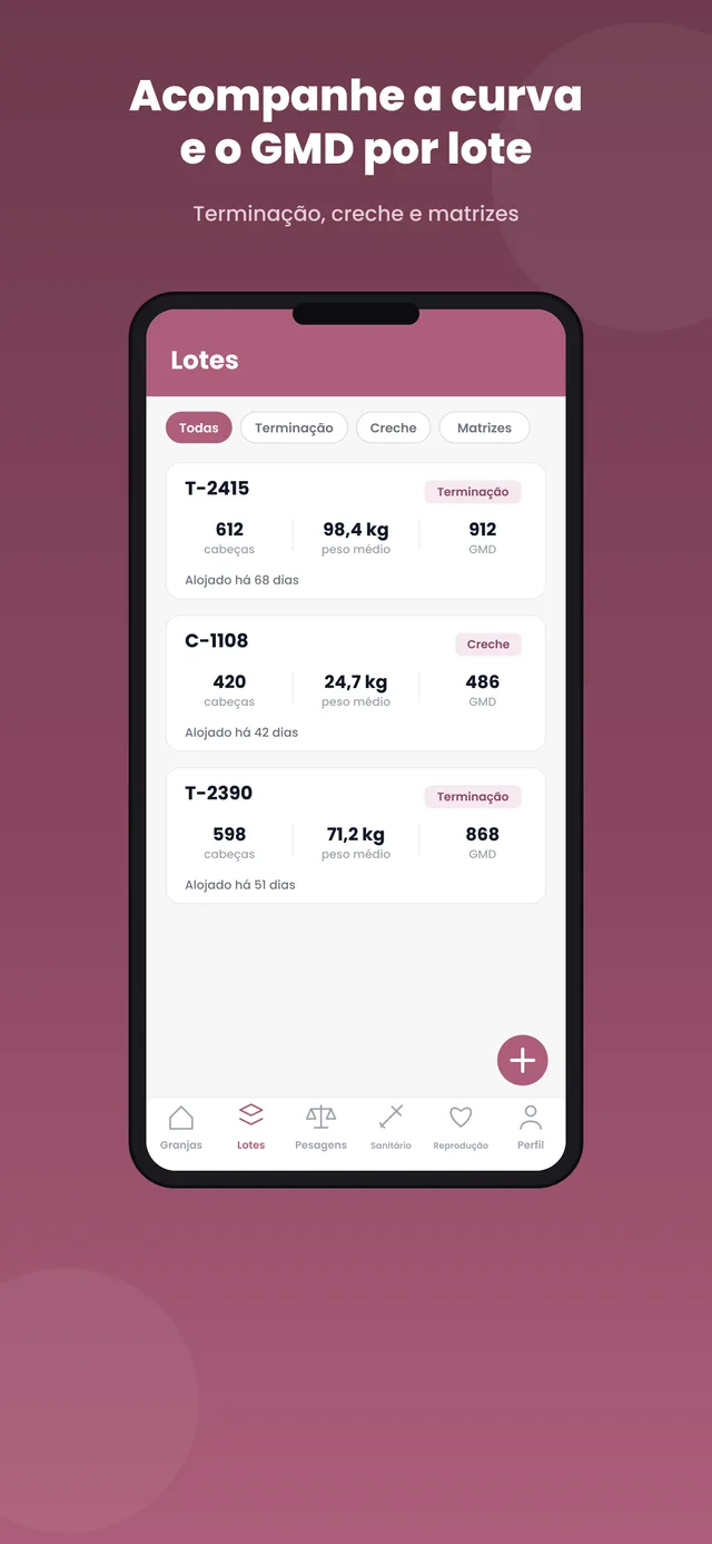 Tela do app Rumo Suinocultura: curva de crescimento do lote comparada à curva alvo da genética